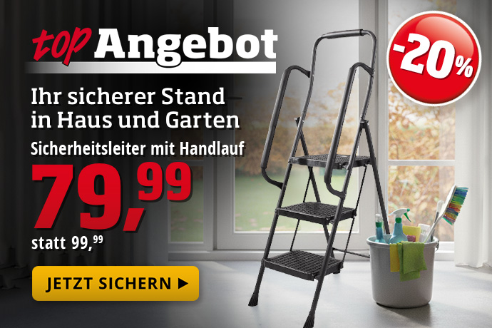 Topangebot - Sicherheitsleiter mit Handlauf