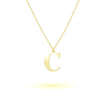 Anhänger mit Kette 925-Sterling Silber vergoldet Glänzend 45cm