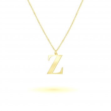 Anhänger mit Kette 925-Sterling Silber vergoldet Glänzend 45cm