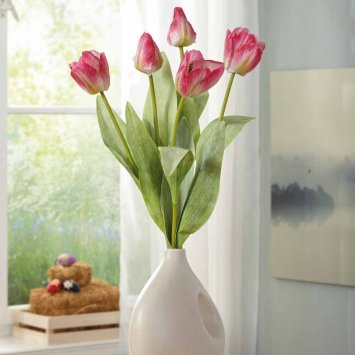Tulpenbund,fuchsia