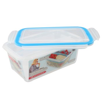 Lunchbox mit Einsatz Sustania