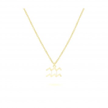 Anhänger mit Kette 925-Sterling Silber vergoldet Glänzend 42cm Wassermann