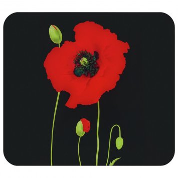 Multi-Platte Mod. Mohn, Spritzschutz, Herdblende, Schneidbrett