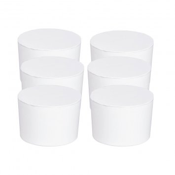 Raumentfeuchter Mod. Drop Nachfüller 1000 g, 6er Set, Luftentfeuchter Nachfüllpack