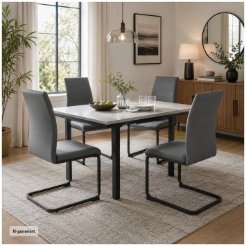 Schwingstuhl SallyP PU Grau Freischwinger Esszimmerstuhl Kunstleder