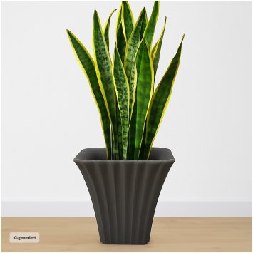 Übertopf Blumentopf