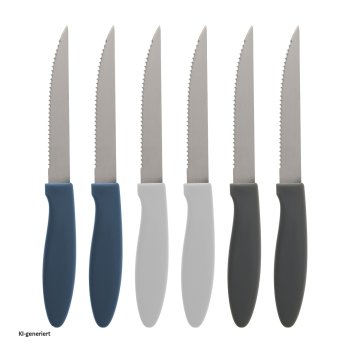 Steakmesser Set 6-teilig