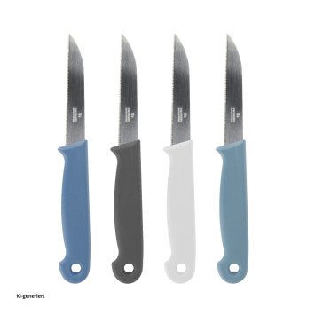 Gemüsemesser-Set, 4-teilig farbig
