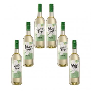 Rietburg Lebenslust gehaltvoll würzig veganer Kerner 750ml 6er Pack