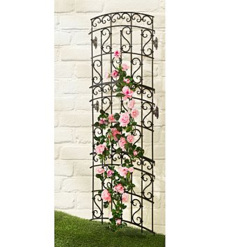 Rankgitter mit Ornamenten Nessa Schwarz 2er-Set