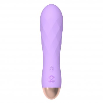 Vibrator Minivibrator