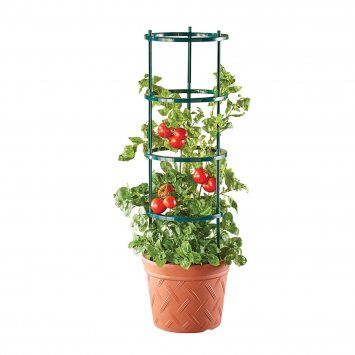 Pflanztopf Nessa Terracotta mit Rankhilfe