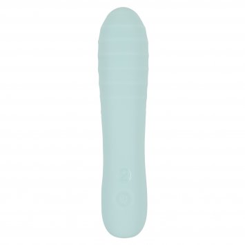 Vibrator Straight Vibrator