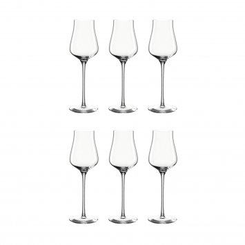 Grappaglas 6er Set 210 ml BRUNELLI