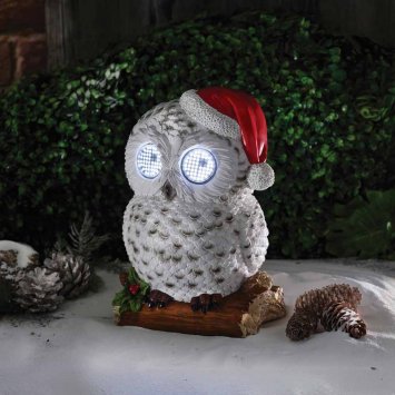 Schneeeule mit Augenbewegung