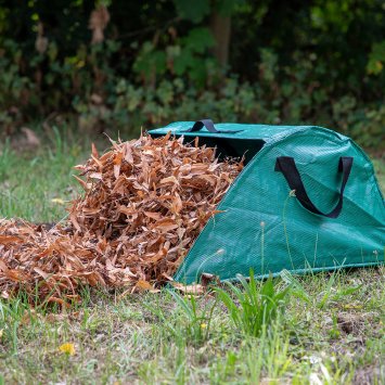 Laubsammler mit Kehrkante