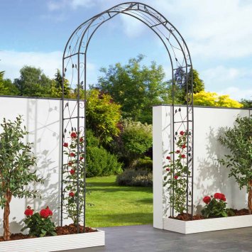Rosenbogen "MIRA"