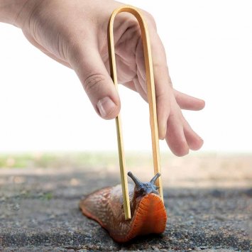 Schneckenzange aus Bambus