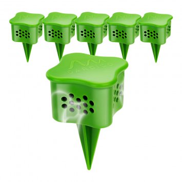 Schnecken-Verdufter-Stecker