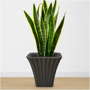 Übertopf Blumentopf