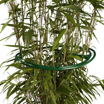 Staudenringe im 6er-Pack