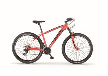 Mountainbike 29 Zoll  DART