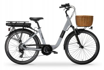 Elektro-Citybike RHEA  26 Zoll, grey