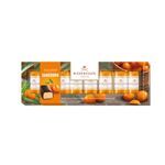 Niederegger Marzipanpralinen Klassiker Sanddorn Packung 100g