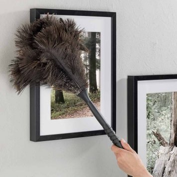 Teleskop Straußenfedern-Staubwedel