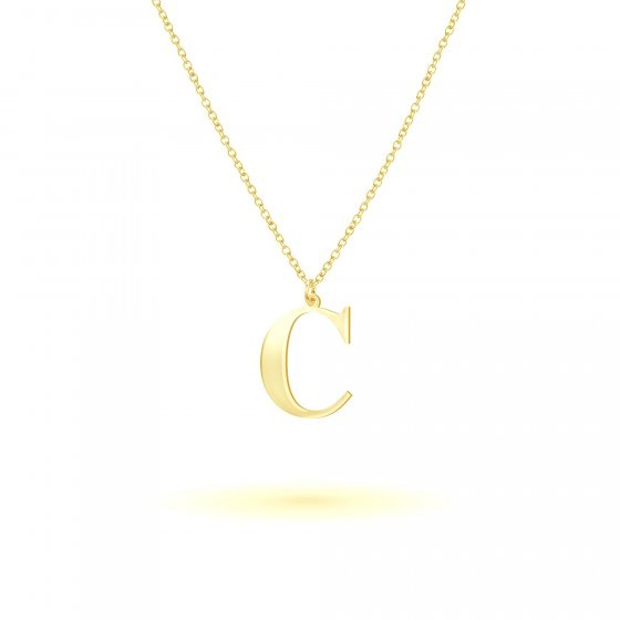 Anhänger mit Kette 925-Sterling Silber vergoldet Glänzend 45cm 