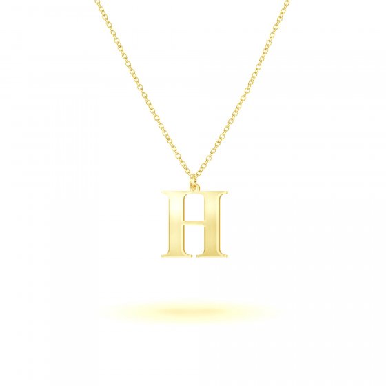 Anhänger mit Kette 925-Sterling Silber vergoldet Glänzend 45cm 