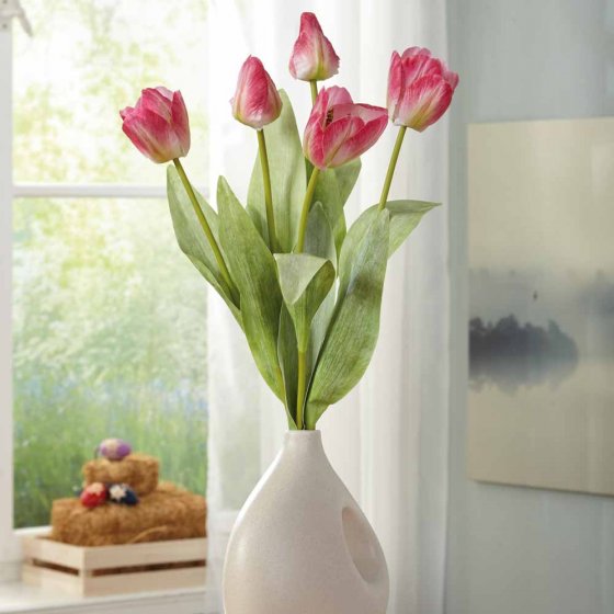 Immerblühendes Tulpenbund 