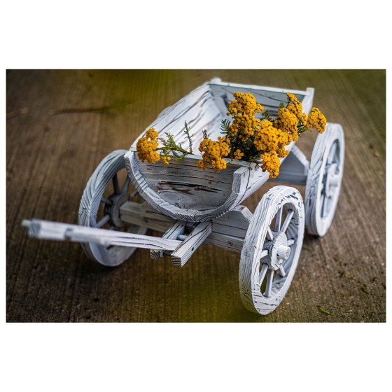 Holzhandwagen Weiß Rustikal Sommerset 