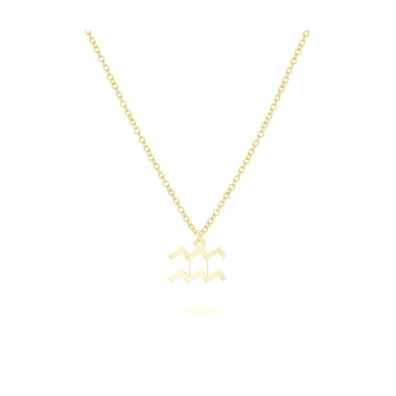 Anhänger mit Kette 925-Sterling Silber vergoldet Glänzend 42cm Wassermann 