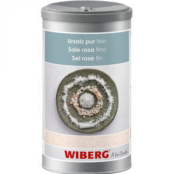 Wiberg Ursalz pur fein im Aromatresor Dose feines Speisesalz 1350g 