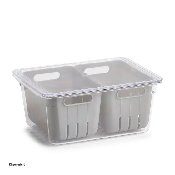 Kühlschrank-Box Kunststoff 