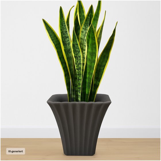 Übertopf Blumentopf 