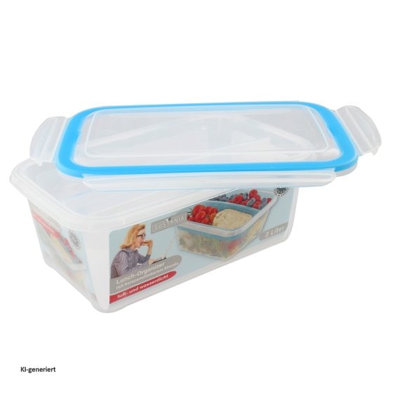 Lunchbox mit Einsatz Sustania 