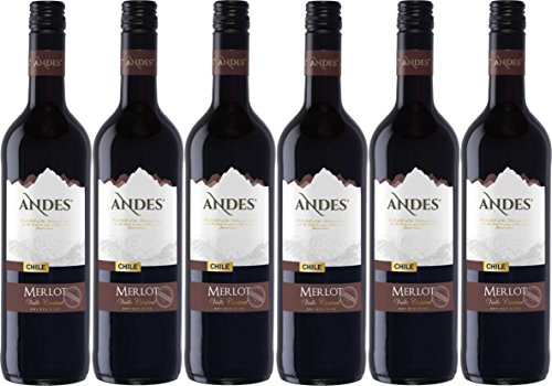 Andes Merlot Qualitätswein trockener Rotwein aus Chile 4500ml, 6er Pack 
