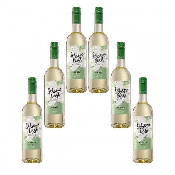 Rietburg Lebenslust gehaltvoll würzig veganer Kerner 750ml 6er Pack 