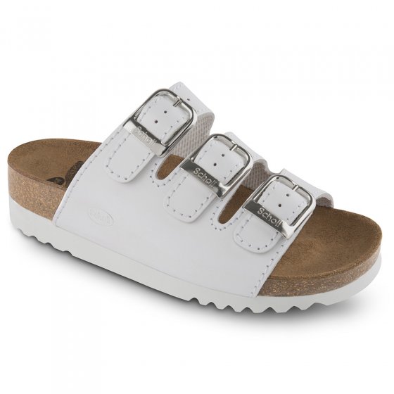 Scholl Rio
