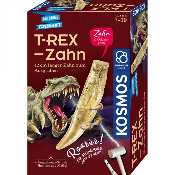 KOSMOS T-rex Zahn Ausgrabung 