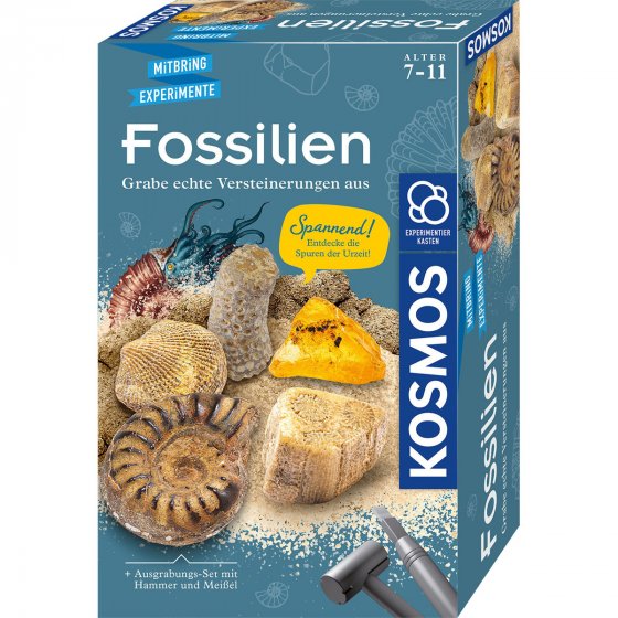 KOSMOS Fossilien 
