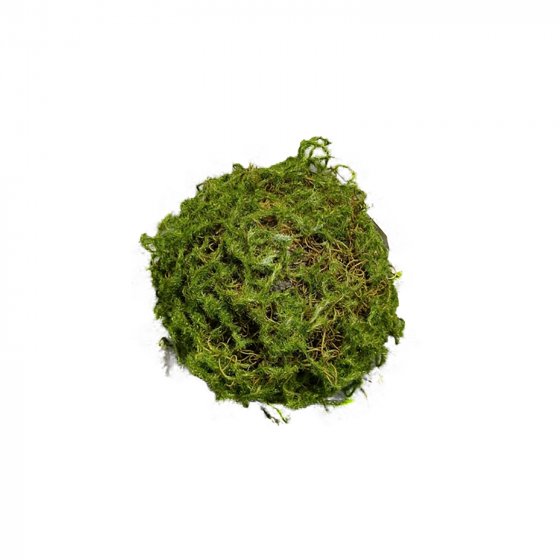 Mooskugel 18 cm Kunstpflanze Flora