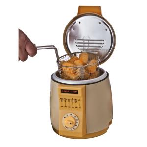 Mini Friteuse mit Fondue-Einsatz 