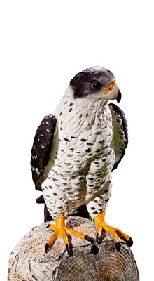 Gartenfalke mit Bewegungsmelder 