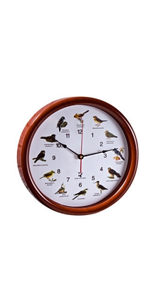 Funk Wanduhr mit Vogelstimmen 