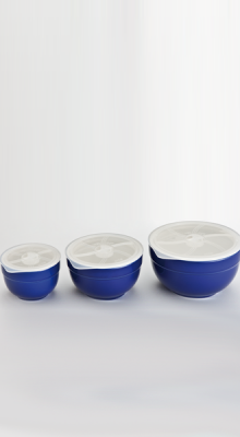 Porzellan-Frischhalte-Set