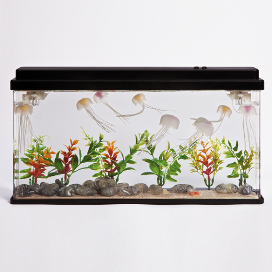 Magisches Quallenaquarium