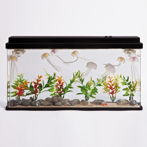 Magisches Quallenaquarium 